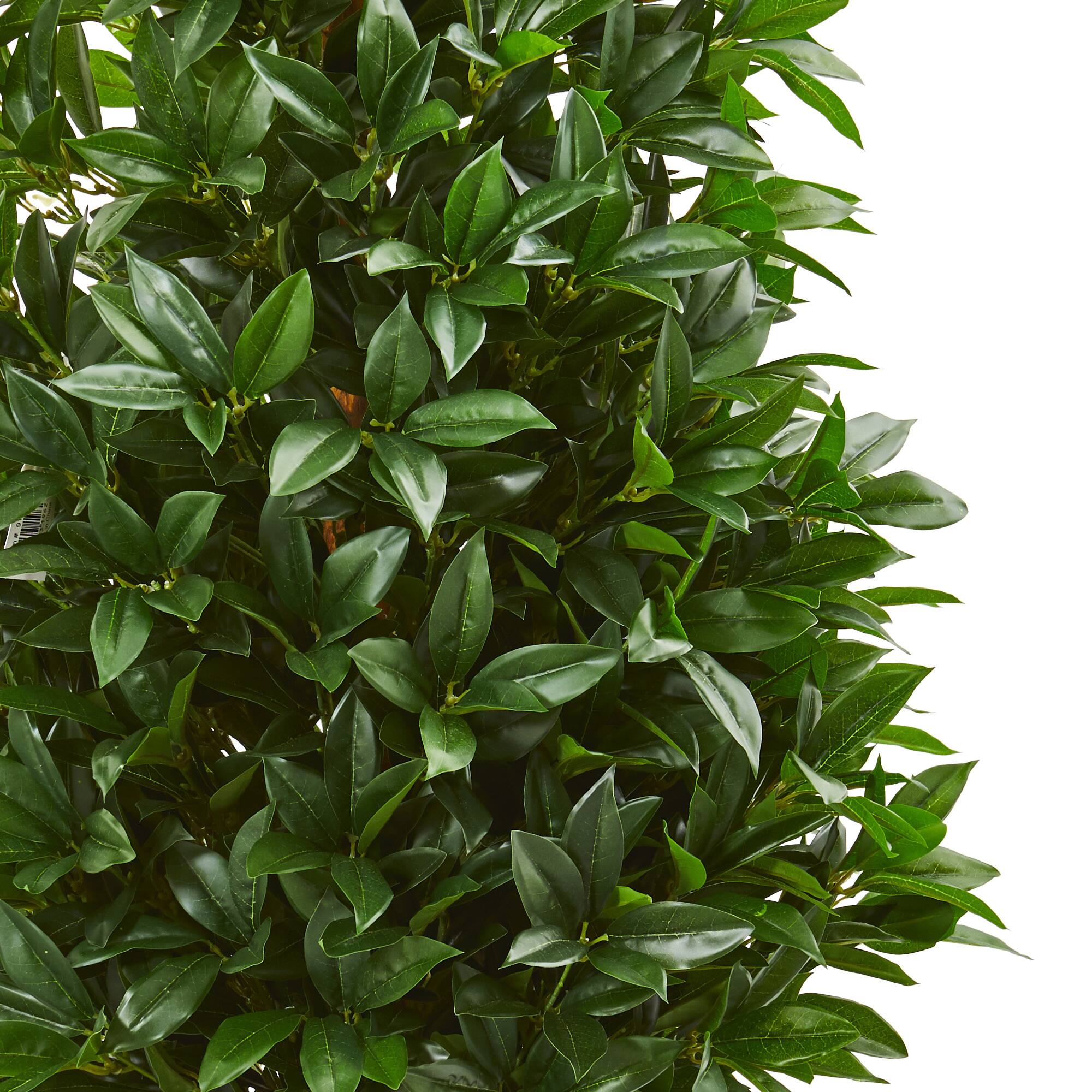 4.6ft. UV Resistant Bay Leaf Cone Topiary Artificial Tree in Black Planter
